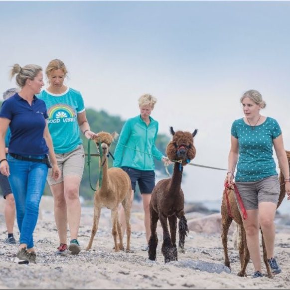 Aplakawanderung am Strand mit Kindern
