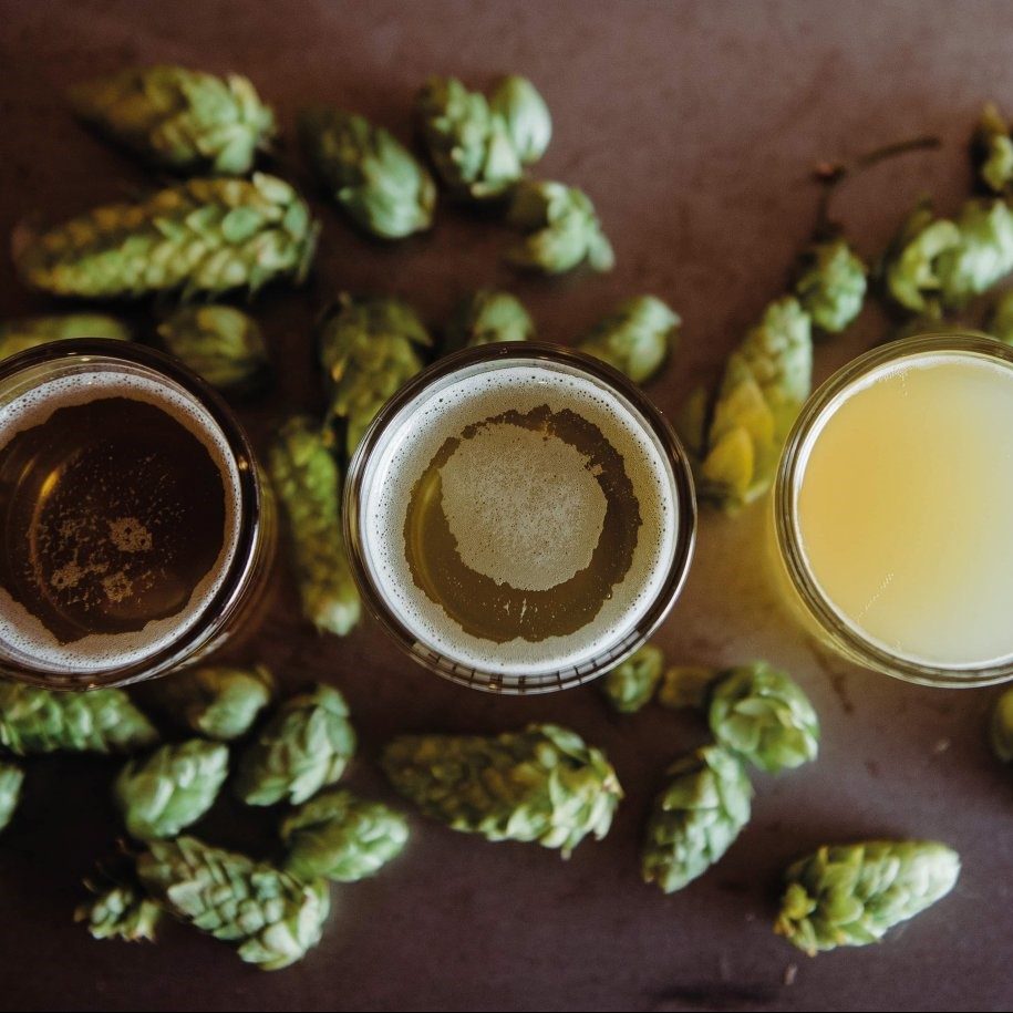 Verschiedene Biersorten mit natürlichem Hopfen